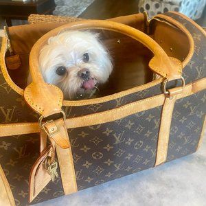 Louis Vuitton Pet Bag Carrier "USED"